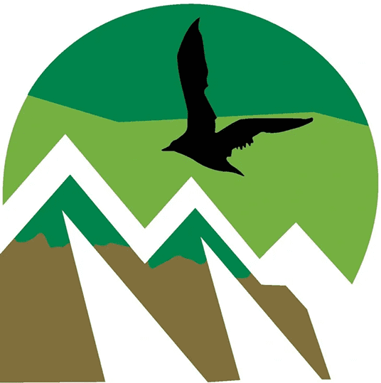 Silhouette of bird over mountains